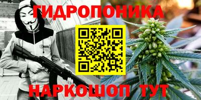 ПСИЛОЦИБИНОВЫЕ ГРИБЫ Гусев