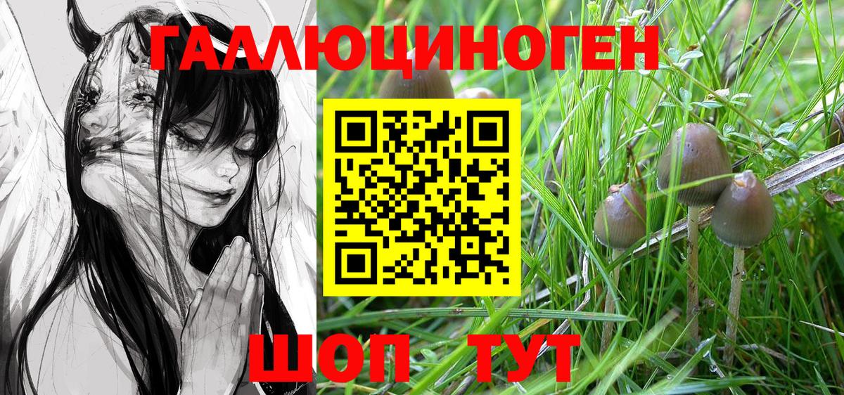 Псилоцибиновые грибы Psilocybine cubensis  Вход с VPN  Нижневартовск 